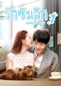 ซีรี่ย์จีน Love is Deep (2019) รักซึมลึก ตอนที่ 1-40 ซับไทย