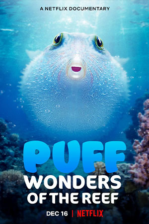 ดูซีรีย์ Puff Wonders of the Reef (2021) พัฟฟ์ มหัศจรรย์แห่งปะการัง ซับไทย HD เต็มเรื่อง ดูฟรี