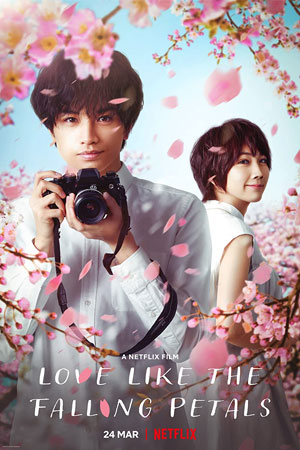 ดูซีรีย์ Love Like The Falling Petals (2022) ใบไม้ผลิที่ไม่มีเธอเป็นซากุระ ซับไทย HD เต็มเรื่อง ดูฟรี
