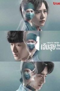 ดูซีรี่ย์จีน Fantastic Doctors (2024) เฉินฮุย คุณหมอหัวใจอัจฉริยะ